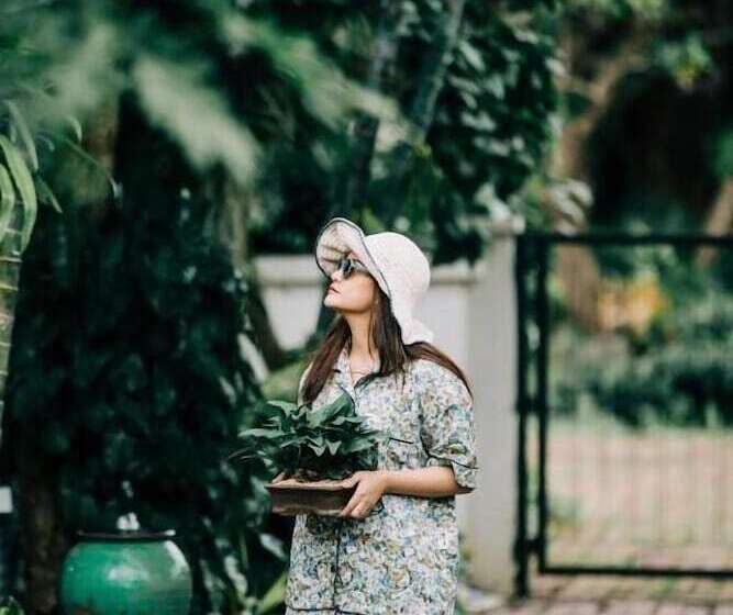 تختخواب و صبحانه Banya Bnb