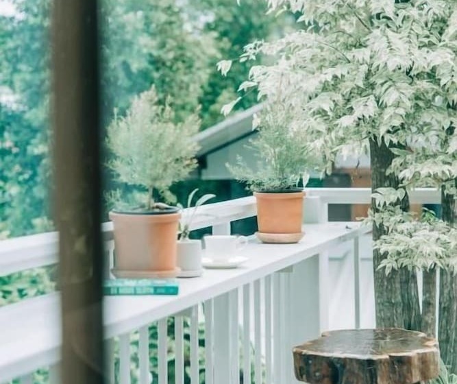 تختخواب و صبحانه Banya Bnb