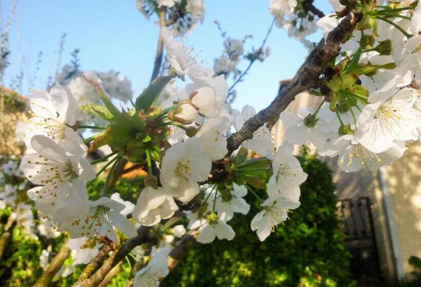 住宿加早餐 Chambre D Hôtes Mirabel