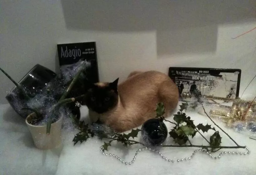 Aamiaismajoitus (B&B) La Parenthèse