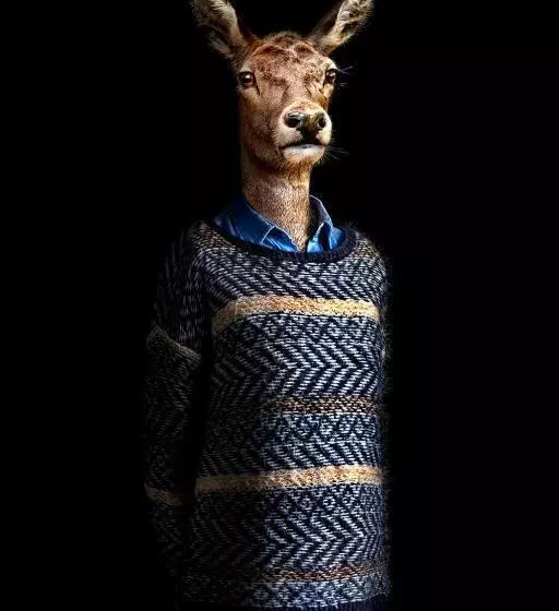 Aamiaismajoitus (B&B) La Parenthèse