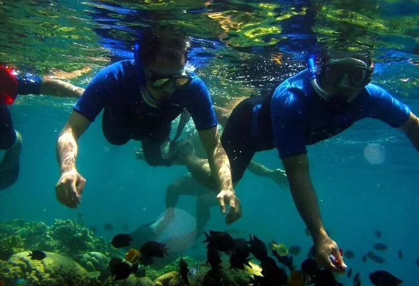 Aamiaismajoitus (B&B) My Place Guest House