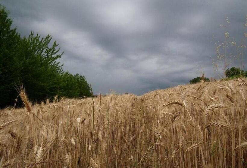 צימר San Rocco Di Villa Di Isola D Asti
