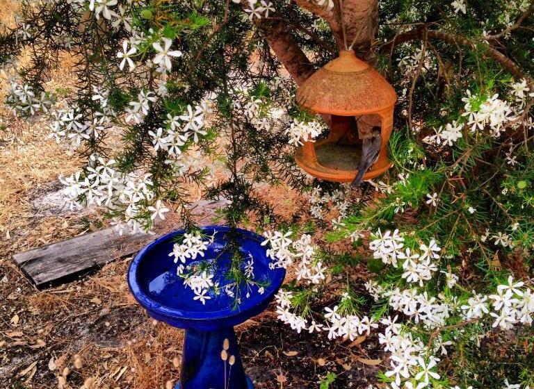 ベッドアンドブレックファースト Wilderness House