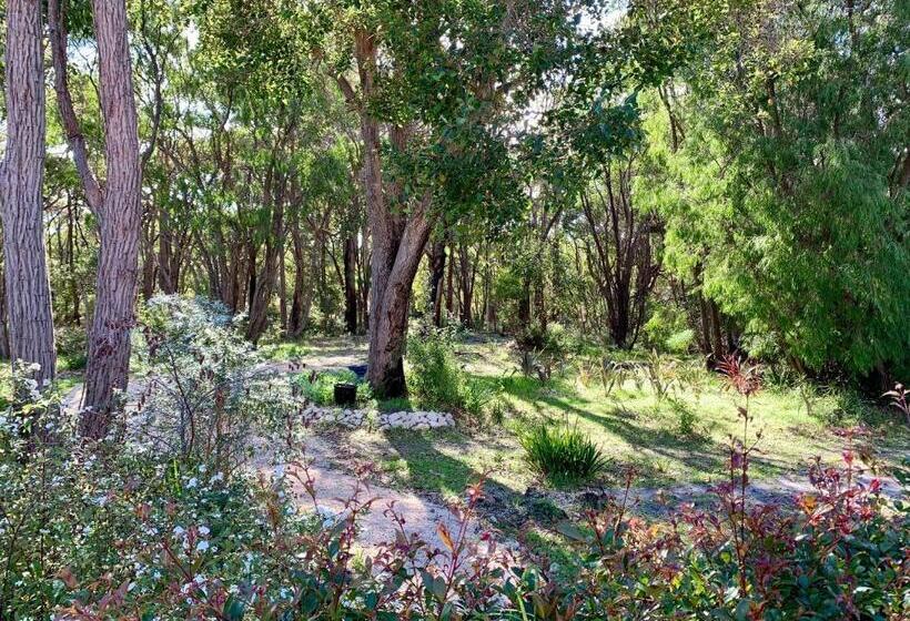 ベッドアンドブレックファースト Wilderness House