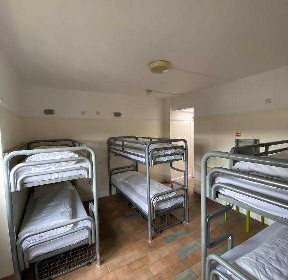 Gogartys Temple Bar Hostel