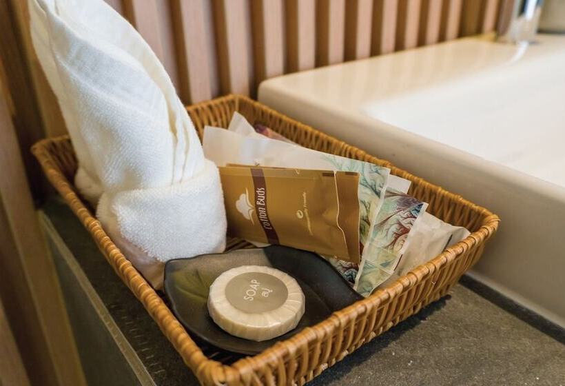 בית מלון כפרי Auberge Shintake