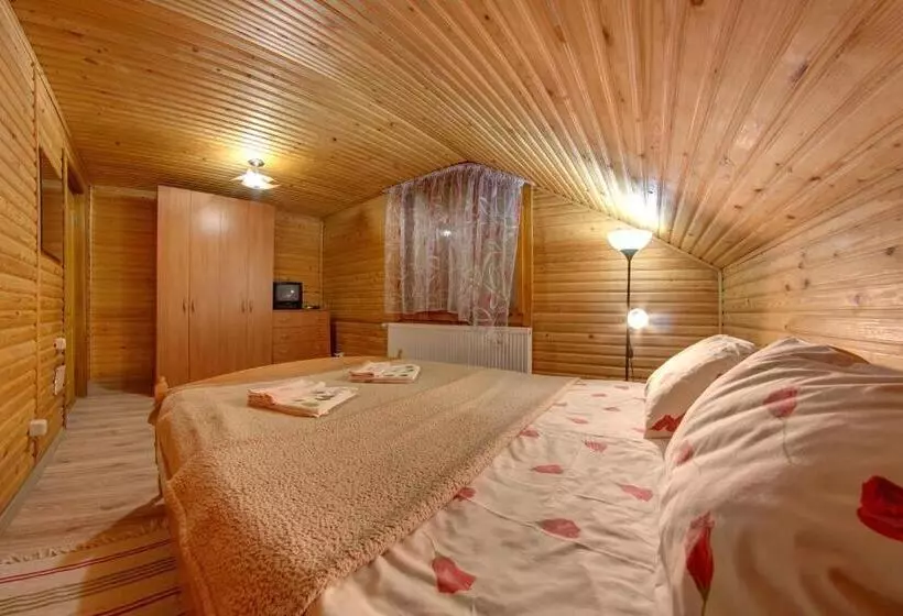 Hotelli Dolyna Gir