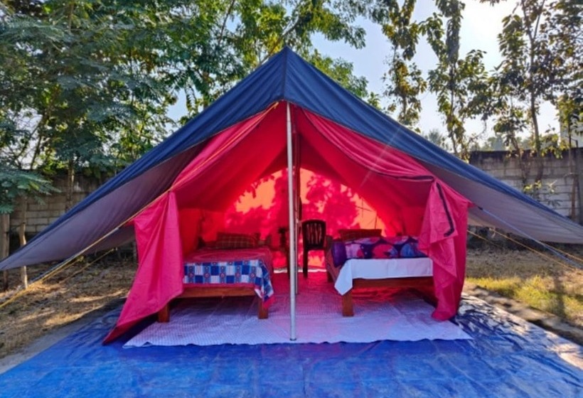 Hotell Homocation Changghar Resort