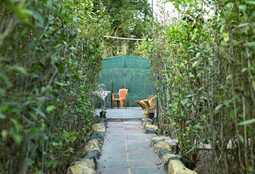 Hotell Homocation Changghar Resort