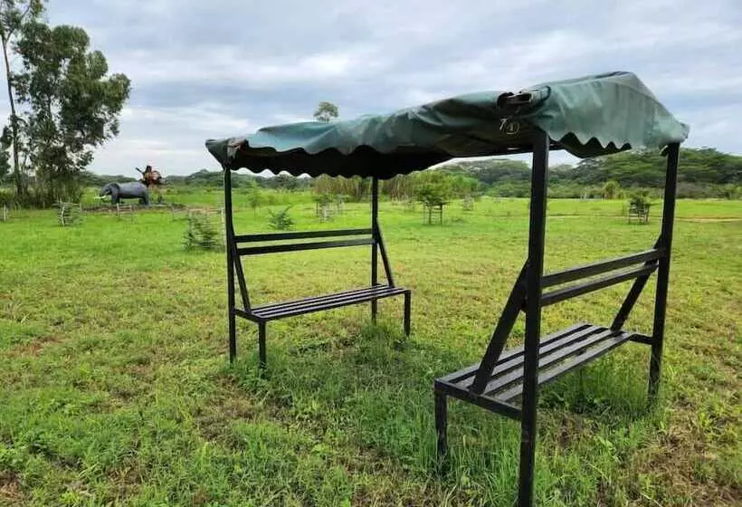 Hotelli Ishasha Pride Lodge