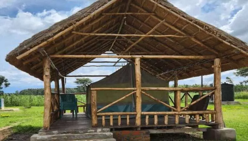 Hotelli Ishasha Pride Lodge