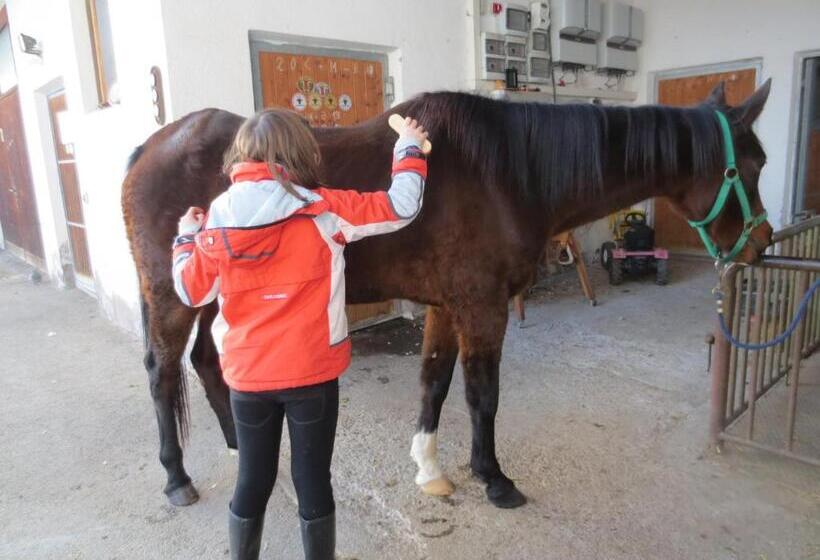 酒店 Oberschlichterhof