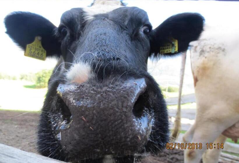 酒店 Oberschlichterhof