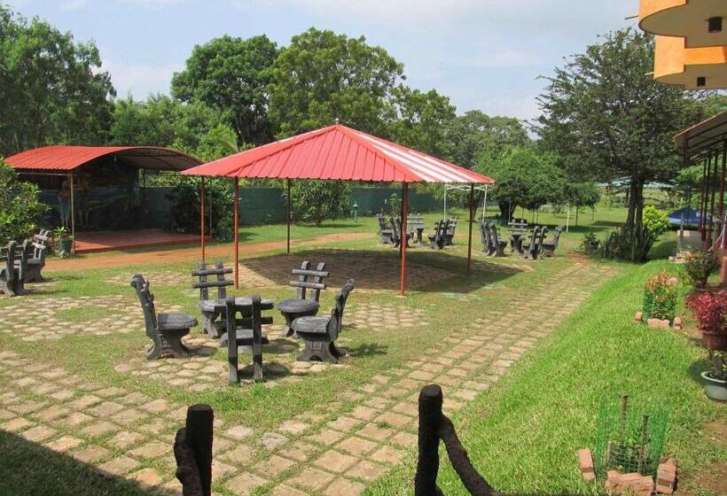 Hotel Platinum Resort