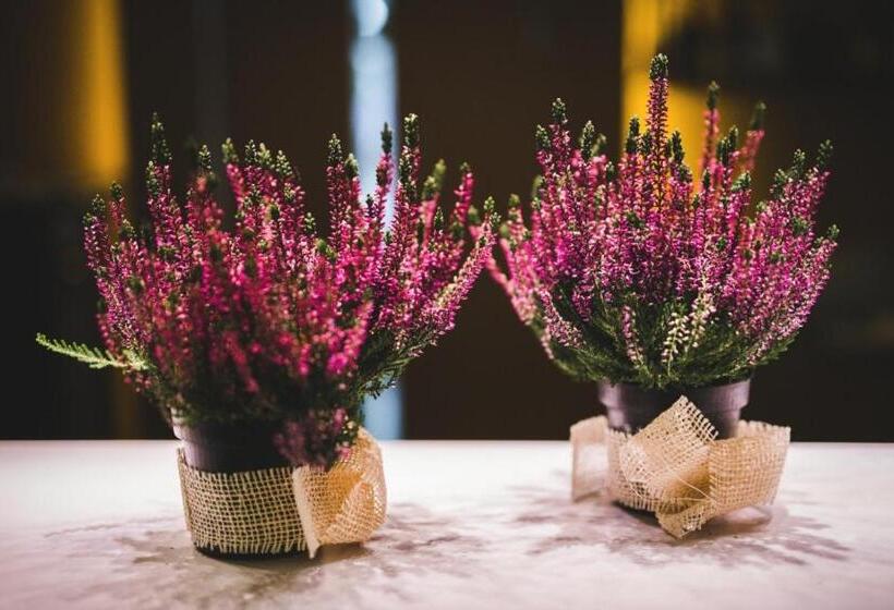 בית מלון כפרי Tomášov