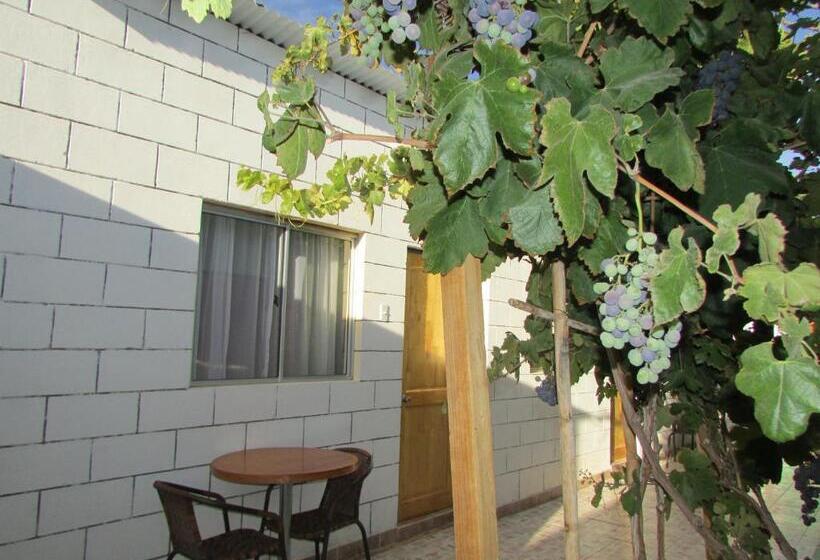 پانسیون Altos Del Lascar