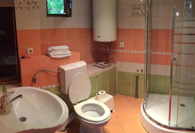 پانسیون Casa Bunicilor