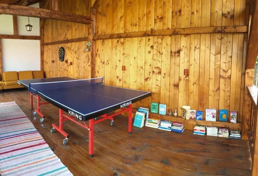 پانسیون Casa Bunicilor