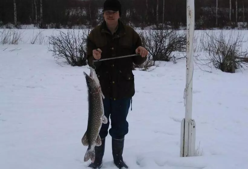 Majatalo Guest House Haapaniemen Hirsikartano