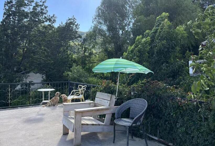 פנסיון Up Air Guest House