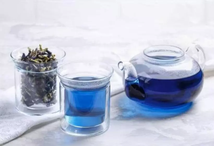 ホテル Antagana Retreat