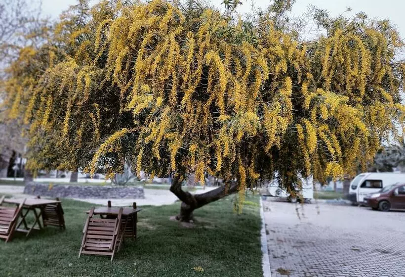 Hotelli Ionia Liberty Stone