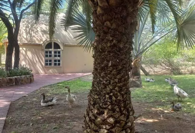 هتل Palm Afrique Lodge Botswana