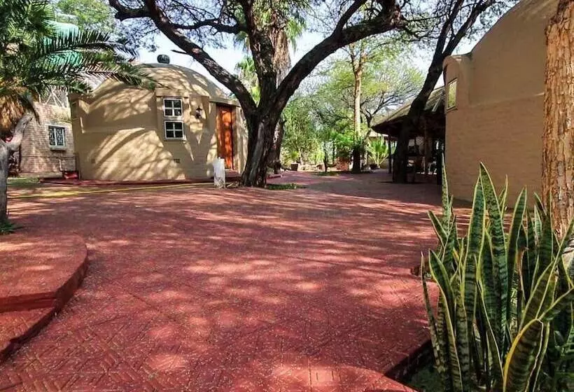 هتل Palm Afrique Lodge Botswana