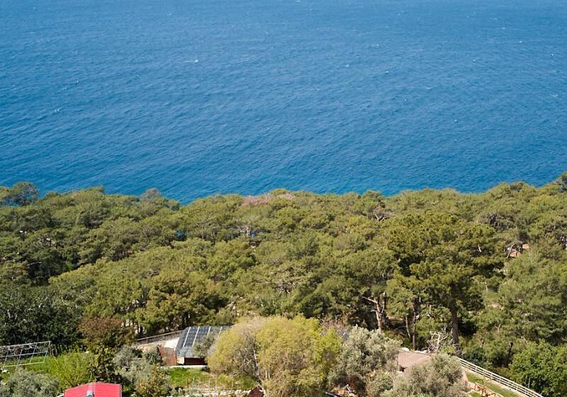 Отель Seaside Faralya