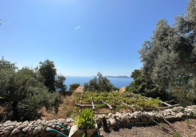 Отель Seaside Faralya