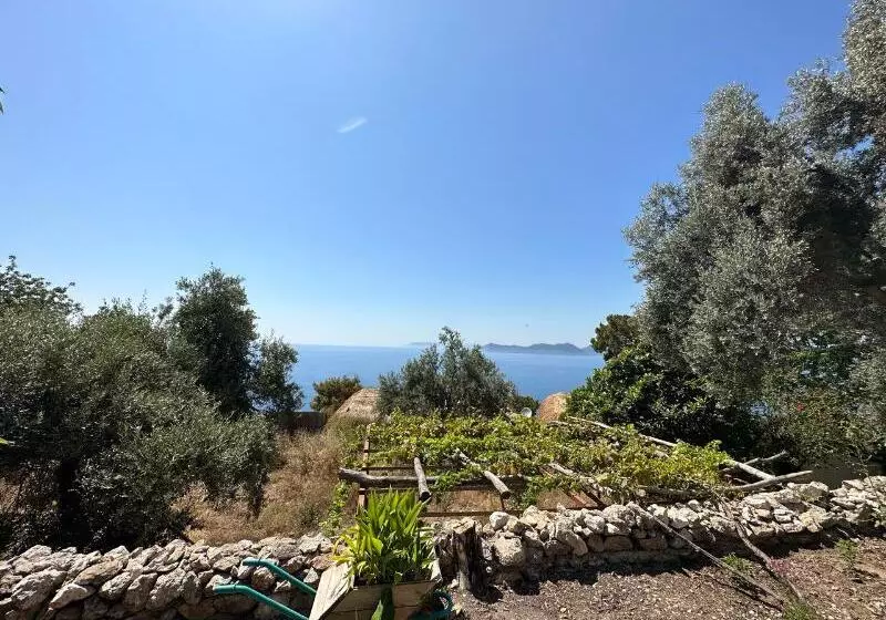 Hotelli Seaside Faralya