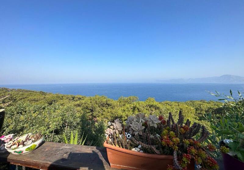 Отель Seaside Faralya