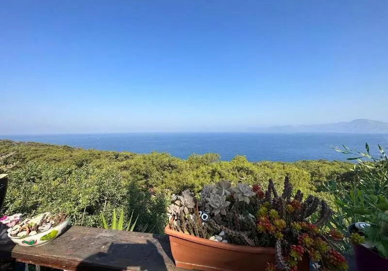 Hotelli Seaside Faralya