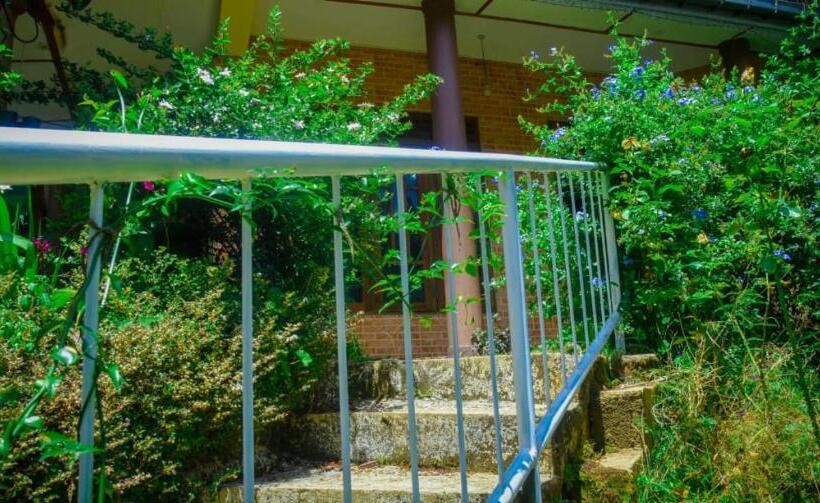 بنسيون City Escape