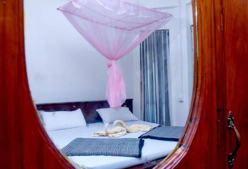 بنسيون City Escape