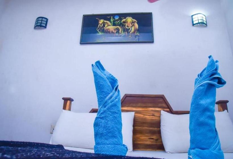 بنسيون City Escape