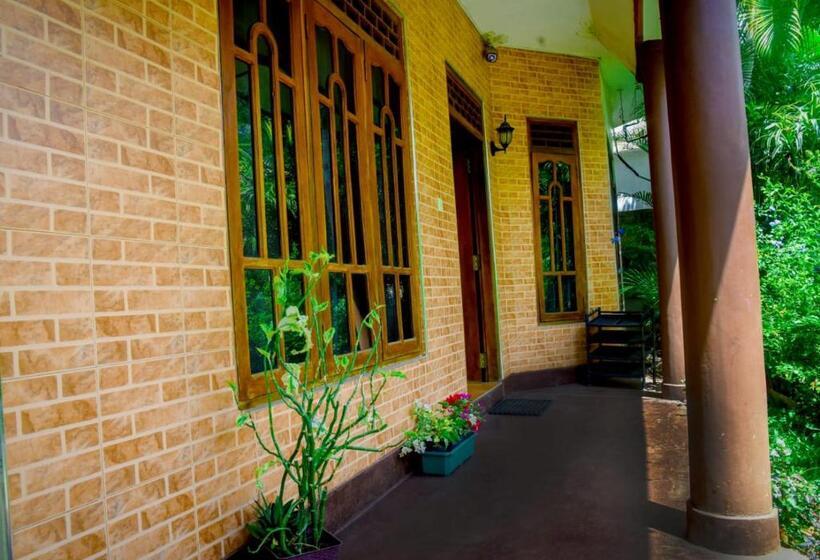 بنسيون City Escape