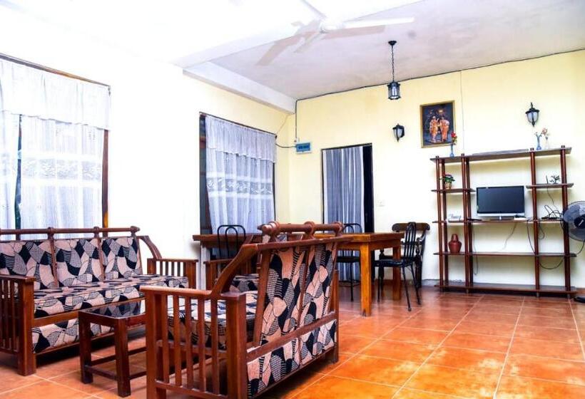 بنسيون City Escape