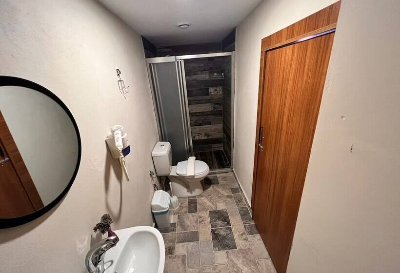 پانسیون Tarihi Sarı Konak