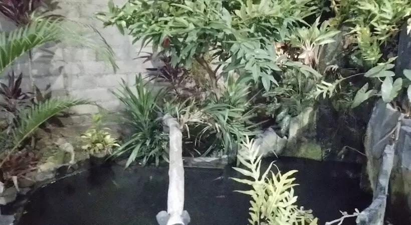 Aamiaismajoitus (B&B) Halfway House