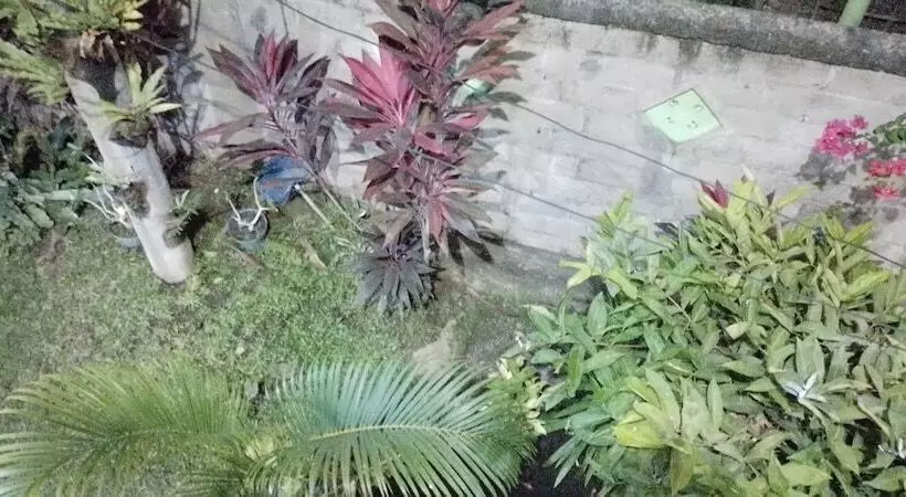 Aamiaismajoitus (B&B) Halfway House