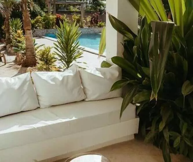 Aamiaismajoitus (B&B) Kuwa Zanzibar