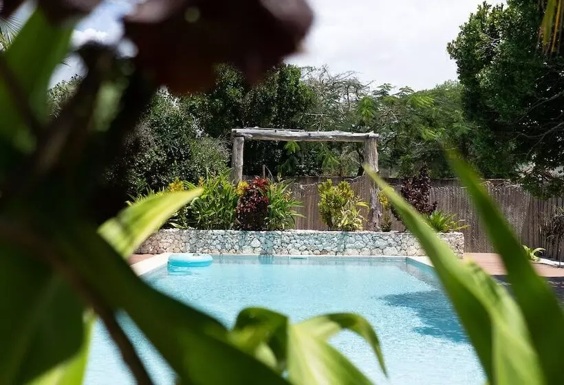 Aamiaismajoitus (B&B) Kuwa Zanzibar