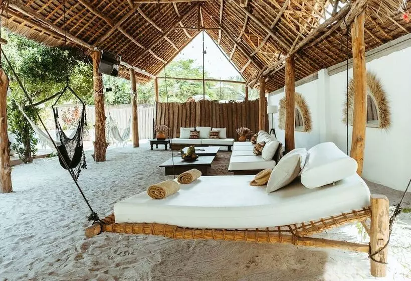 Aamiaismajoitus (B&B) Kuwa Zanzibar