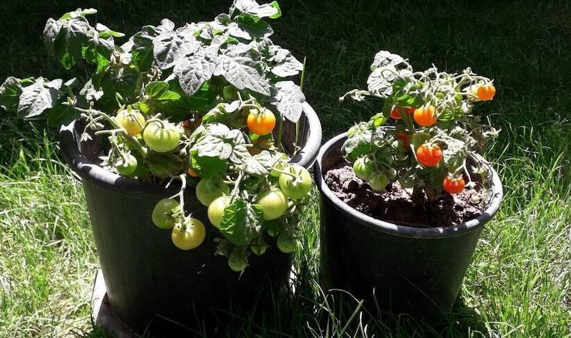 Düsseldorf Pansiyon