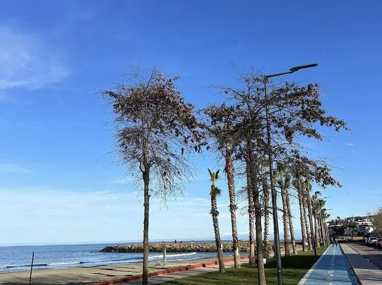 Green Ci̇ty Yalincak