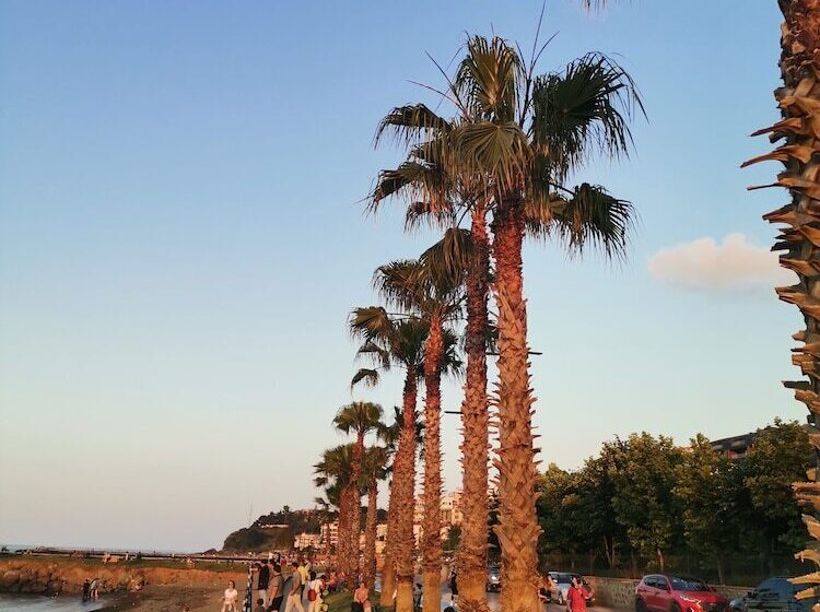 Green Ci̇ty Yalincak