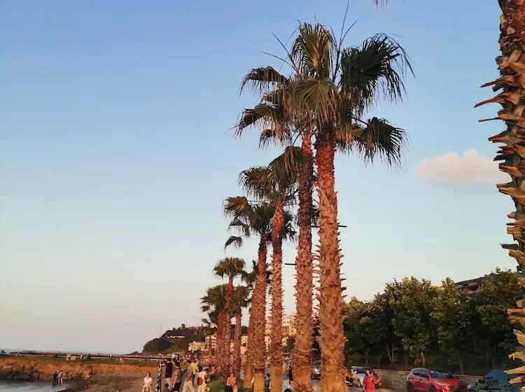 Green Ci̇ty Yalincak