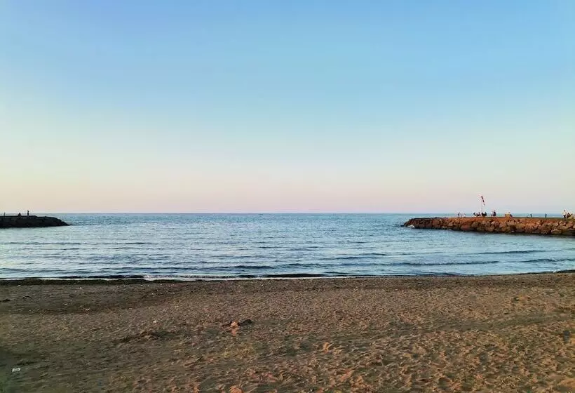 Green Ci̇ty Yalincak